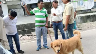 News Article Hero Image