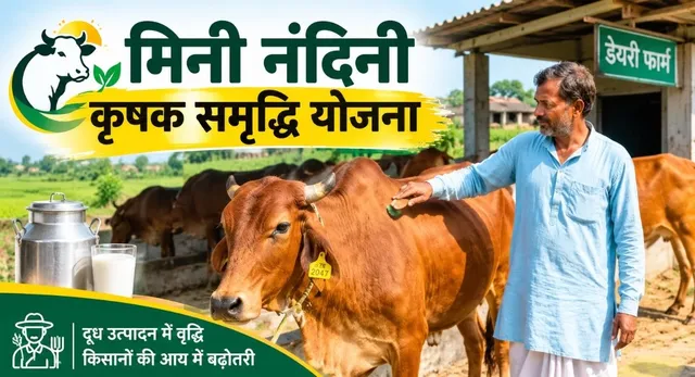 नंद बाबा दुग्ध विकास मिशन: गोरखपुर के 20 और किसान बनेंगे आत्मनिर्भर, देसी गाय पालन पर मिलेगा आधा खर्च