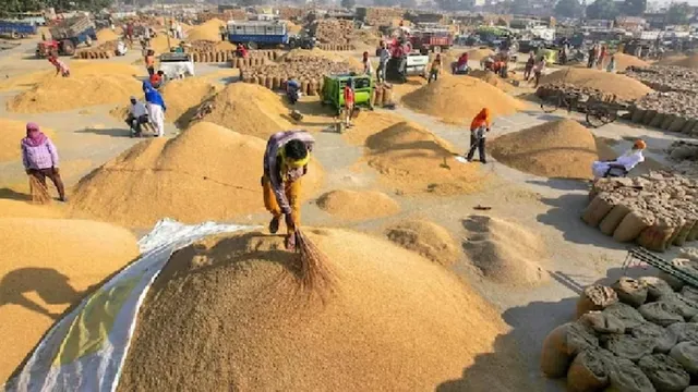 हरियाणा: कैथल मंडी में 1509 धान ने तोड़े सभी रिकॉर्ड, किसानों को मिला ₹4045 प्रति क्विंटल का भाव

