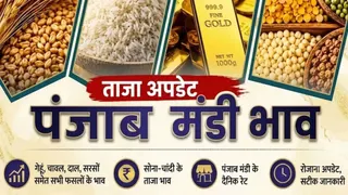 ये प्रतीकात्मक तस्वीर है।
