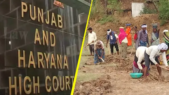 मनरेगा में 600 को मजदूरी, काम पर सिर्फ 200 श्रमिक; 1.25 करोड़ की गड़बड़ी; HC ने रोहतक DC से मांगी रिपोर्ट
