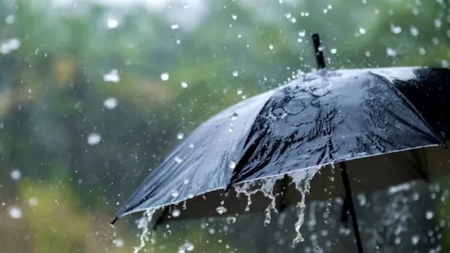 हरियाणा के इन दो जिलों के लोग हो जाएं सावधान! आज होगी झमाझम बारिश; मौसम विभाग का येलो अलर्ट जारी
