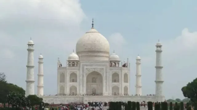 ताजमहल देखने से पहले ब्रिटिश पर्यटक पर बंदर का हमला, 15 दिन में चौथी घटना से बढ़ा आतंक