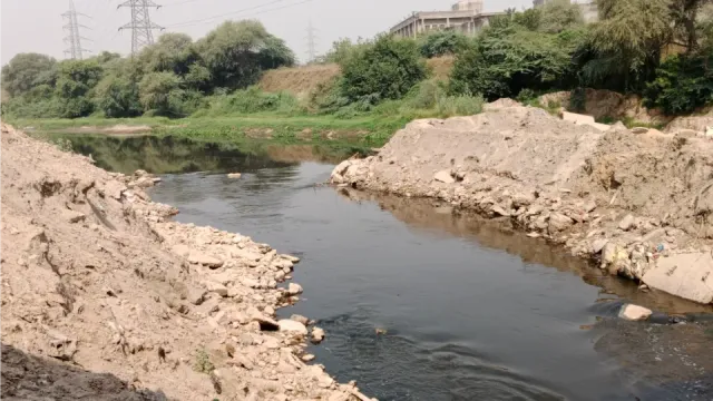 सोनीपत: ड्रेन नंबर 8 के दूषित पानी से फसलें चौपट, किसानों ने की तटबंध निर्माण व मुआवजे की मांग
