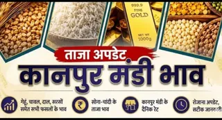 News Article Hero Image