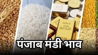 ये प्रतीकात्मक तस्वीर है।