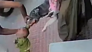 सोनीपत में पिटबुल ने छह माह के बच्चे पर किया जानलेवा हमला, गंभीर रूप से घायल।