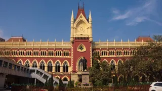 कलकत्ता हाई कोर्ट ने सेक्स टॉय आयात प्रतिबंध पर सीमा शुल्क विभाग से मांगा जवाब