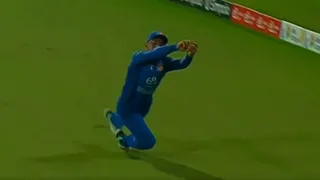 राशिद खान