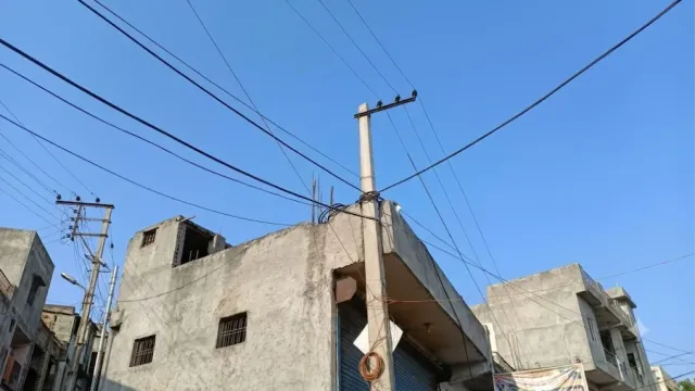 करंट से तड़पते कुत्ते को बचाने दौड़ा मालिक, फरीदाबाद में 11 हजार वोल्ट की तार बनी काल
