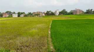 बूंद-बूंद पानी को तरस रहे खेत