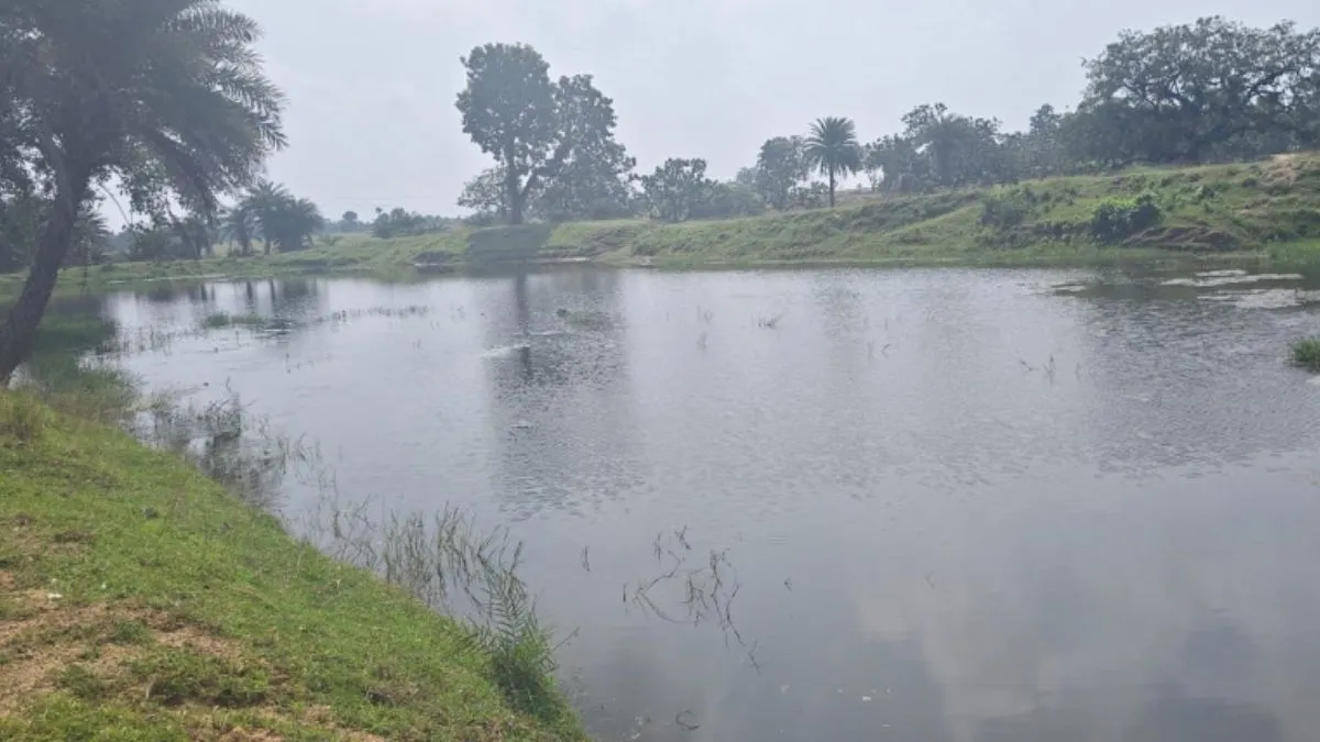 Bihar Jamui Pond Digging Scam Shivraj Singh Chouhan Orders Probe (1)