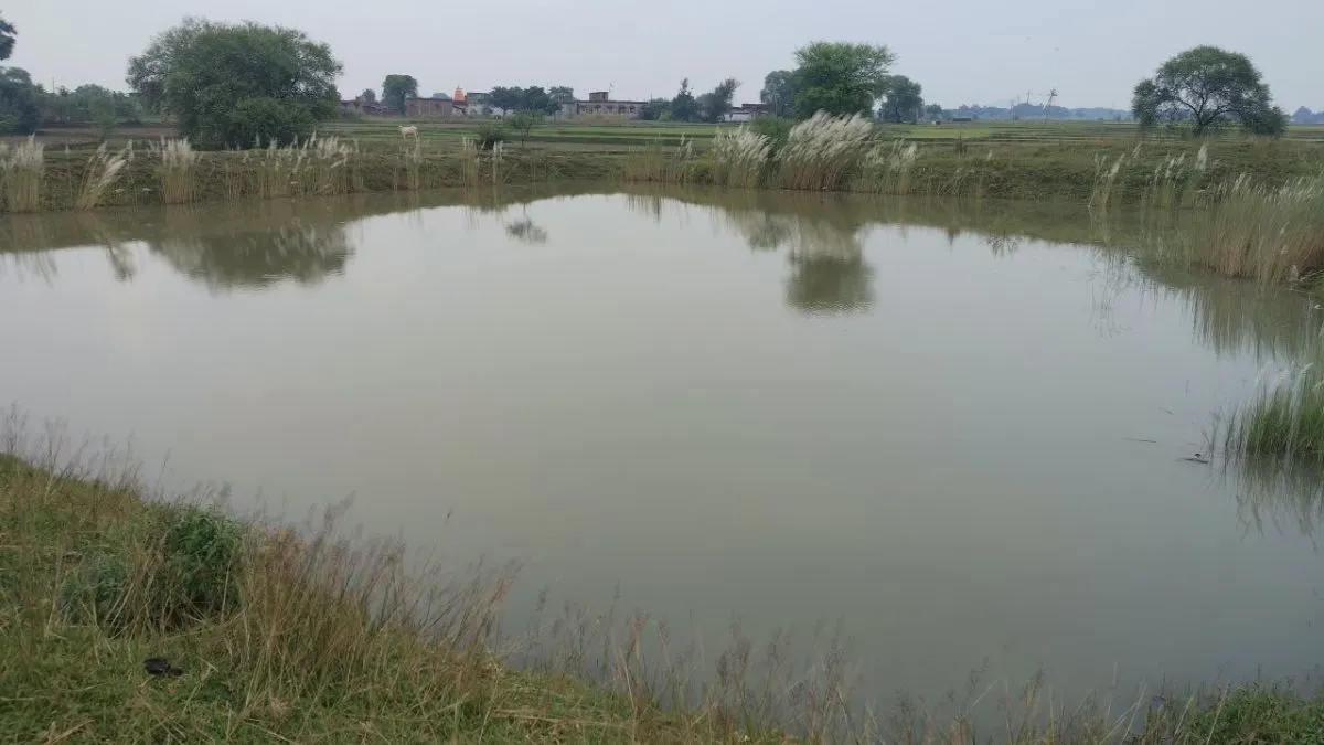Bihar Jamui Pond Digging Scam Shivraj Singh Chouhan Orders Probe (3)