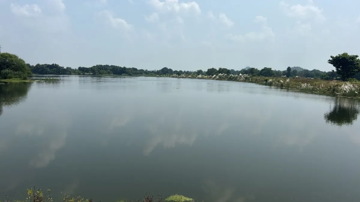 Bihar Jamui Pond Digging Scam Shivraj Singh Chouhan Orders Probe