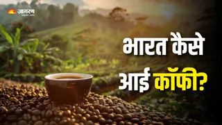मजेदार तरीके से भारत पहुंची कॉफी (Picture Courtesy: Freepik)