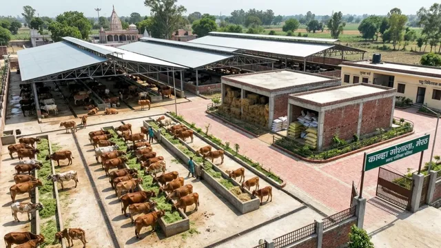 मेरठ की कान्हा गोशाला में 500 से अधिक गोवंशियों को मिलेगा आधुनिक आश्रय, दो करोड़ रुपये की लागत