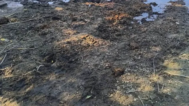 कासगंज में गंगा का जलस्तर घटा, छोड़ गया गंदगी के ढेर; बीमारियों का खतरा बढ़ा
