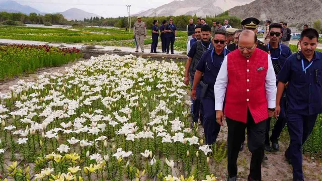 लद्दाख में बनी दुनिया की सबसे ऊंची 'फूलों की वादी', 25 लाख फूलों से महके चोगलमसर और स्टाकना


