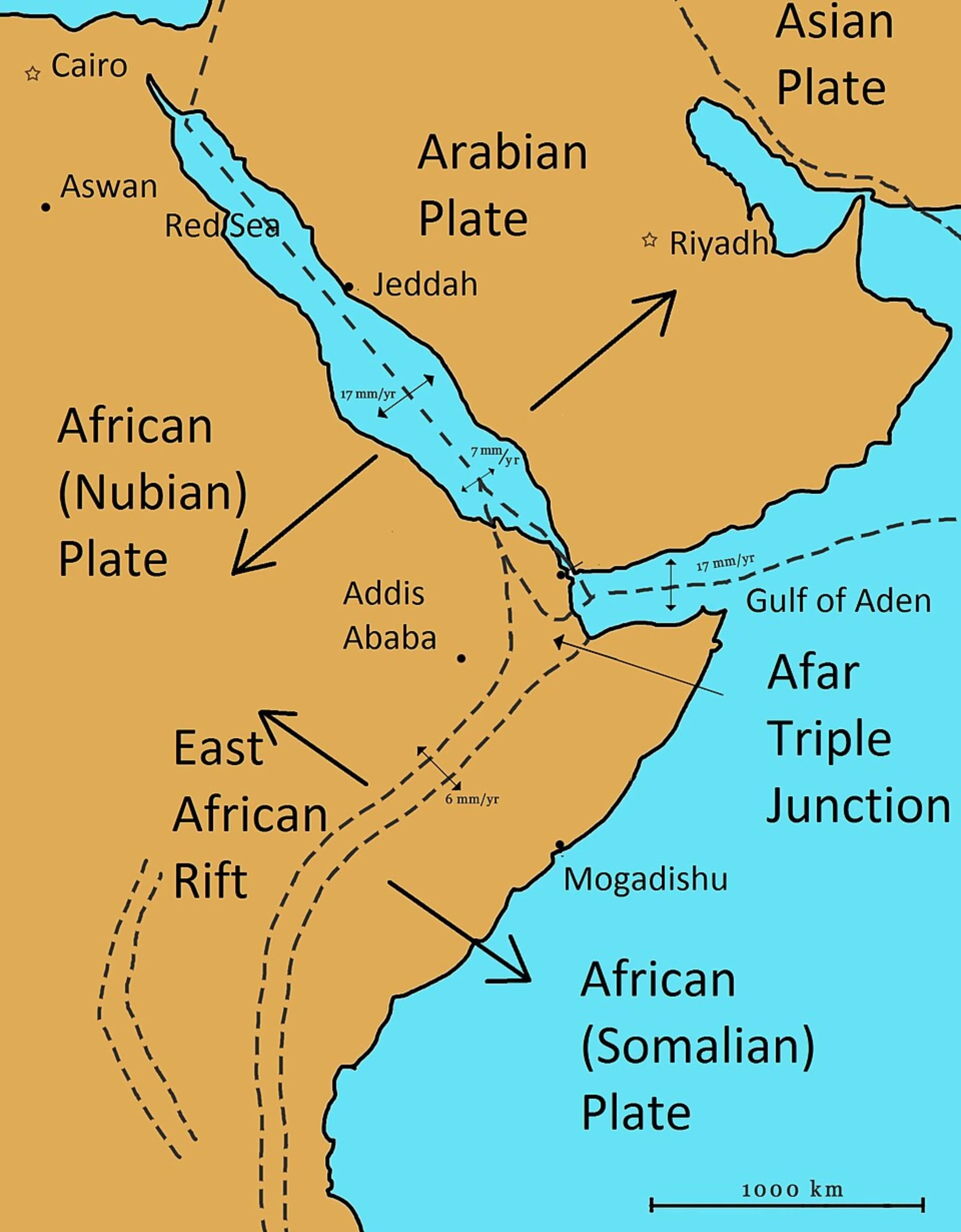 Red Sea