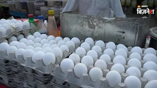 अंडे के विदेशी निर्यात पर बढ़ा फ्रेट चार्ज