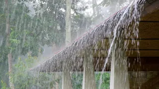 रांची समेत कई जिलों में बारिश और गरज-चमक की संभावना।