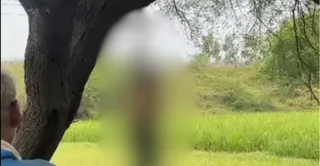 पेड़ में फंदे पर लटके दोनों के शव। वीडियो ग्रैब