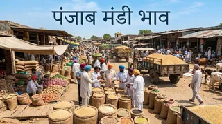 ये AI जनरेटेड प्रतीकात्मक तस्वीर है।
