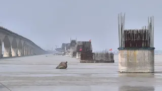Vikramshila Setu Closure News: 1 अक्टूबर से 3 महीने के लिए बंद होगा विक्रमशिला सेतु; भागलपुर-नवगछिया के बीच चलेंगे यात्री व मालवाहक जहाज, जलमार्ग बनेगा लाइफलाइन
