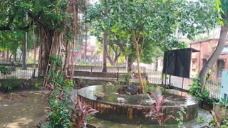 झमाझम बारिश के बाद खुशनुमा हुआ मौसम