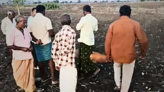 पत्थर से पीट-पीटकर महिला की हत्या।