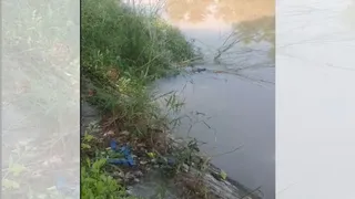 नहर का पानी सड़क के नीचे से रिहायशी इलाकों में बह रहा है।