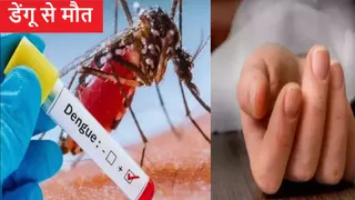 वाराणसी में खंड शिक्षा अधिकारी की बेटी दिव्यांशी यादव का डेंगू से निधन, शिक्षा जगत में शोक।