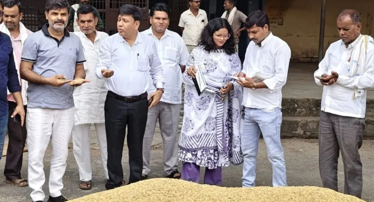 dhan ki kheti