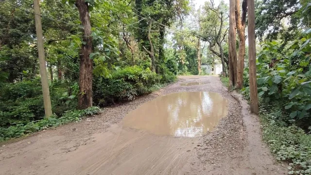 मदनपुर पनियहवा सड़क की मरम्मत का रास्ता साफ, राज्य वन्यप्राणी परिषद से मिली मंजूरी