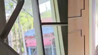 ममता समर्थक पार्षदों के घर पर हमला