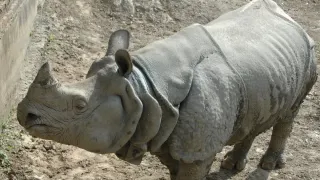प्रतीकात्मक तस्वीर