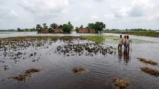 एआई द्वारा जेनरेट इमेज।