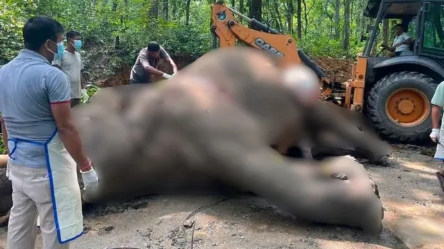 Bihar News : 33 बच्चों का पिता रोनाल्डो नहीं रहा, चितवन निकुंज में पसरा मातम
