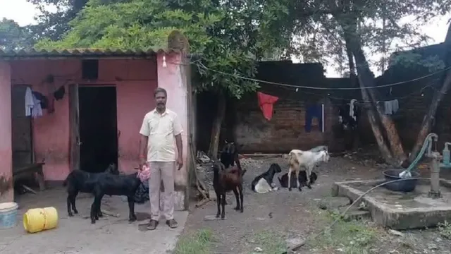 धनबाद में आधी रात को बकरों की लूट: हथियारबंद बदमाशों ने कर्मचारियों को बनाया बंधक, 17 खस्सी लेकर फरार