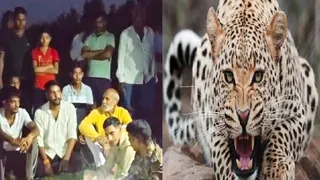 वन विभाग की टीम के साथ बैठे लोग और तेंदुए का प्रतीकात्मक फोटो।
