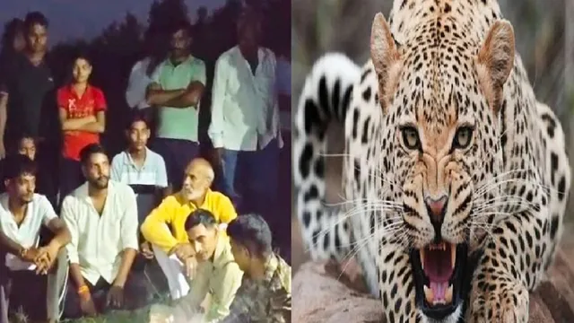 'खाना मिलेगा और सोने को बिस्तर भी देंगे...पर तेंदुए को पकड़ो' मुजफ्फरनगर में वन विभाग की टीम को बंधक बनाकर बोले लाेग