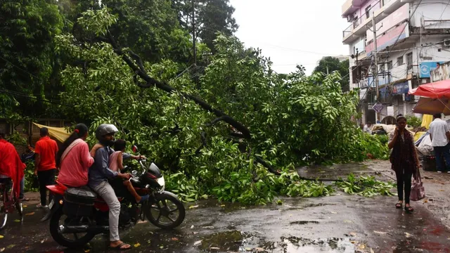 Bihar Weather Update : 72 घंटे सक्रिय रहेगा मानसून, मुजफ्फरपुर में तेज हवा-बारिश से कई जगह पेड़ उखड़े