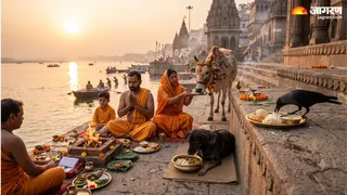 पितृ पक्ष में गाय, कौए और कुत्ते को भोजन क्यों कराएं (Picture Credit: AI Generated)