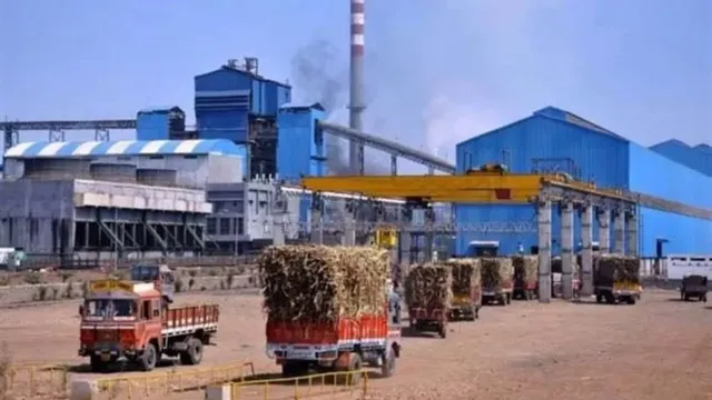 बिजनौर में इस बार 10 दिन पहले चलेंगी शुगर मिलें, गेहूं की बुआई होगी आसान; 10 करोड़ क्विंटल गन्ना पेराई का लक्ष्य