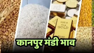 कानपुर मंडी में आज गेहूं, दाल, चावल के ताजा रेट।