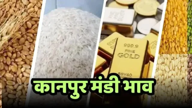 Kanpur Mandi Bhav: कानपुर मंडी में आज गेहूं, दाल, चावल के ताजा रेट, देखें सोना-चांदी के भी दाम
