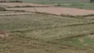 इसमें प्रतीकात्मक तस्वीर लगाई गई है।