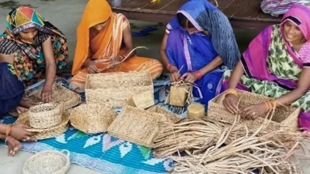 बेकार समझी जाने वाली जलकुंभी भी रोशन करेगी नाम, यूपी इंटरनेशनल ट्रेड शो दिखेगा पीलीभीत का अनूठा हुनर
