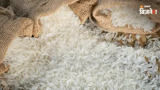 बासमती की शिपमेंट में समस्या से निर्यातकों और मिलर्स ने घटाई खरीद