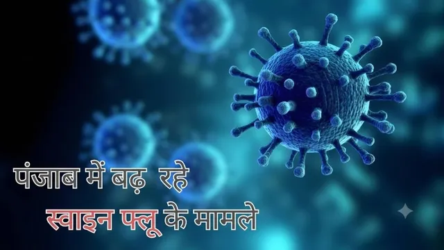 सावधान! पंजाब में तेजी से फैल रहा स्वाइन फ्लू, 347 मरीज पॉजीटिव; लुधियाना, मोहाली और पटियाला में बिगड़े हालात

